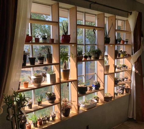 Indoor Window Shelves, Around The Window Decor, Clever Window Coverings, Wooden Window Plant Shelf, Sliding Door Plant Shelf, Glass Plant Shelves, Plant Window Set Up, Big Window Plant Shelf, Boho Room With Plants