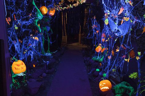 Black Light Forest Overall Shot                                                                                                                                                                                 More Blacklight Halloween, Outside Halloween Decorations, Light Forest, Halloween Maze, Glow Halloween, Yard Haunt, Casa Halloween, Halloween Inflatables, Halloween Yard Decorations