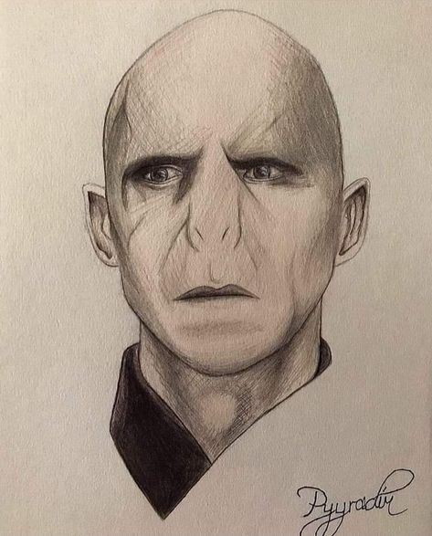 Harry Potter Pencil Sketches, Harry Potter Pencil Drawings, Lord Voldemort Drawing, Voldemort Drawing, Harry Potter Sketches, Frame Playhouse, Movie Drawings, Harry Potter Sketch, Harry Potter Voldemort