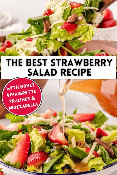 Say hello to FLAVOR with our Strawberry Pecan Salad with Mozzarella and Honey Vinaigrette! With juicy strawberries, crunchy pecans, and creamy mozzarella, this salad is a flavor explosion. The honey vinaigrette adds the perfect touch of sweetness to compliment! Strawberry Pecan Salad, Salad With Strawberries And Pecans, Spring Salad With Strawberries, Strawberry Pecan Feta Salad, Peach And Mozzarella Salad, Fruit Salad With Mint And Honey, Strawberry Salad Recipe, Pecan Salad, Crunchy Pecans