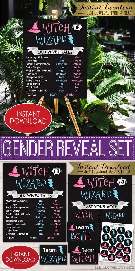 Halloween Gender Reveal Ideas For Party, Harry Potter Gender Reveal Decorations, Harry Potter Themed Gender Reveal, Gender Reveal Harry Potter Theme, Gender Reveal Ideas Halloween Theme, Gender Reveal Ideas For Party Theme Fall, Gender Reveal Halloween Theme, Witch Gender Reveal, Halloween Themed Gender Reveal Party