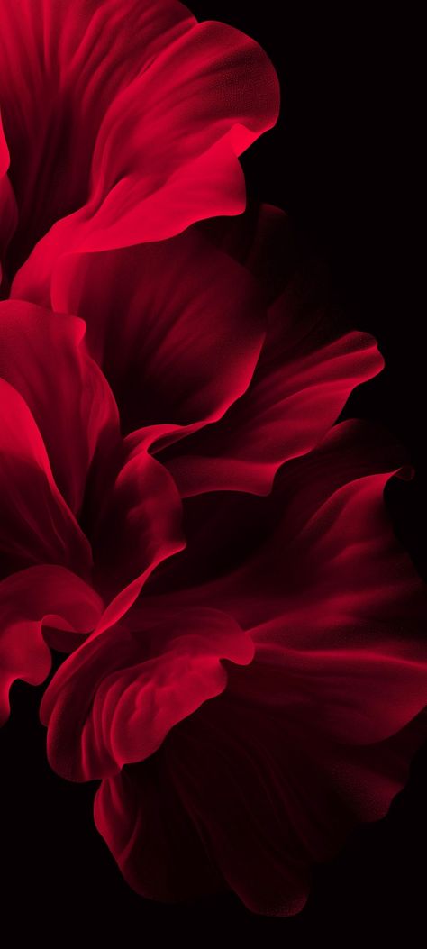 Nature Background Aesthetic, Red Flower Wallpaper, Dark Wallpapers Aesthetic, Kosmetyki Mary Kay, Wallpaper Estetika, Dark Red Wallpaper, Dark Wallpapers, Iphone Wallpaper Stills, Flower Iphone Wallpaper