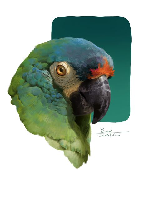 Digital Art Portrait, Bird Portrait, Parrot Art, Beautiful Digital Art, Adoption Photos, Color Study, About Animals, Art Studies, Wildlife Art