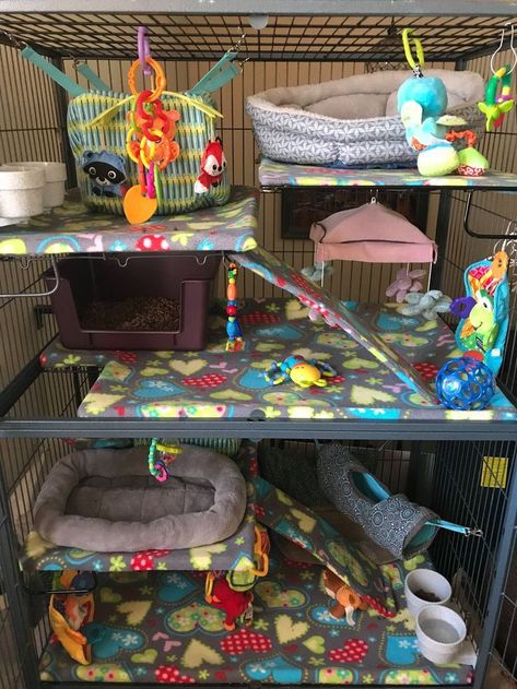 Rat cage Chinchilla Enclosure Ideas, Pet Possum Cage, Diy Rat Enclosures, Pet Rat Supplies, Rat Enclosure Ideas, Cute Ferret Cage Ideas, Diy Rat Cage, Ferret Enclosure, Rat Cage Diy