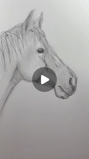 How To Draw Animals Realistic, Horse Sketch Pencil, How To Draw Horses, Cowgirl Art Drawing, Horse Face Drawing, Horse Pencil Drawing, Horse Drawing Tutorial, Horse Head Drawing, Horse Art Drawing