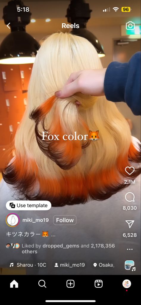 Fox Color Hair, Dyed Ends Of Hair, Fox Hair Dye, Dyed Tips, Hair Dye Tips, Fox Hair, Fire Hair, Dip Dye Hair, Hair Color Underneath