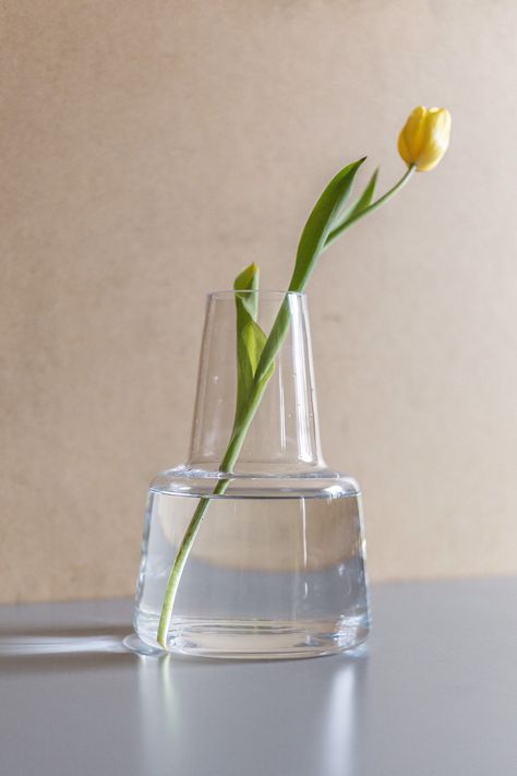 Glass Reference, Modern Flower Vase, Cement Vase, Vase Ideas, Modern Glass Vases, Carafe Design, Plants Care, Sunflower Vase, Vase Display