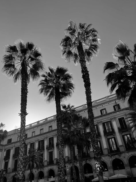 Barcelona Black And White, Barcelona Aesthetic, Spain Aesthetic, Collage Board, Barcelona City, House Art, Black And White Wallpaper, San Sebastian, Black N White