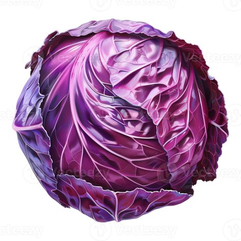 Purple Cabbage on Transparent Background Purple Royalty Aesthetic, Purple Cabbage, Royalty Aesthetic, Cabbages, Tree Saw, Wedding People, Heart Tree, Cityscape Photos, Logo Banners