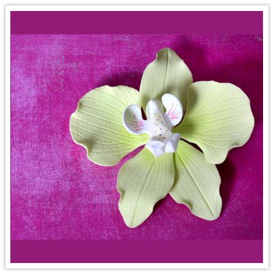 Orchid Sub — CaljavaOnline Orchid Cattleya, Fondant Figurine, Green Moth, Cake Styling, Orchid Cake, Fondant Creations, Cake Decorating Fondant, Sugar Flowers Cake, Butterfly Orchid