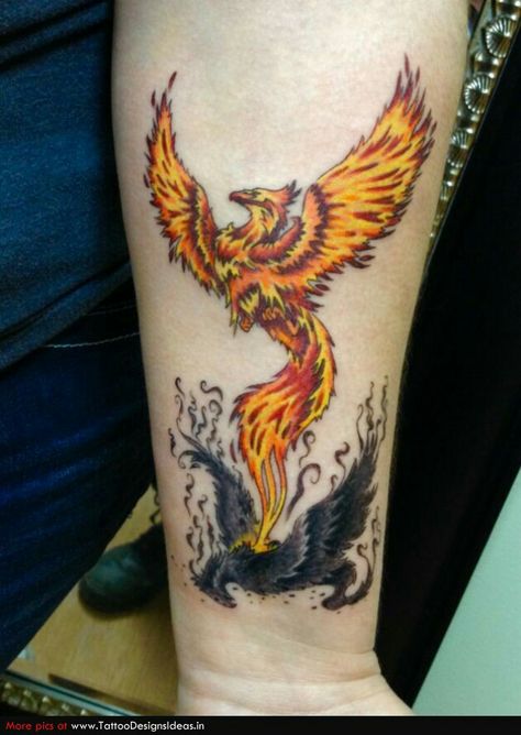 Rising and falling phoenix Phoenix Tattoo Men, Rising Phoenix Tattoo, Bodysuit Tattoos, Phoenix Tattoo Feminine, Flame Tattoo, Small Phoenix Tattoos, Phoenix Bird Tattoos, Phönix Tattoo, Phoenix Tattoo Design