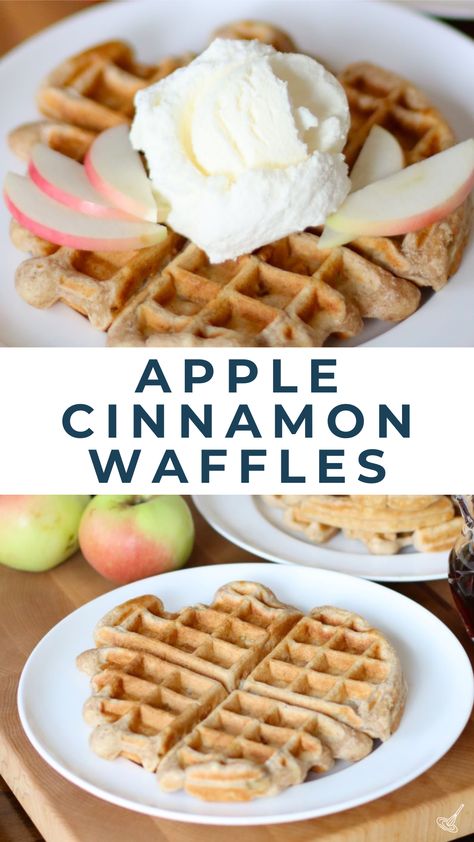 Apple Cinnamon Waffles Healthy Cinnamon Waffles, Greek Yogurt Waffles, Apple Cinnamon Waffles, Apple Waffles, Cheese Ramen, Waffles For Breakfast, Greek Yogurt Eggs, Leftover Apples, Wild Rice Soup Recipes