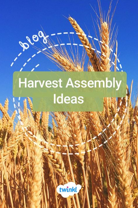 Harvest Assembly Ideas blogpost Harvest Festival Crafts, Assembly Ideas, Harvest Songs, Harvest Crafts, Harvest Festival Ideas, School Assemblies, Autumn Weather, Festival Ideas, Teacher Blogs