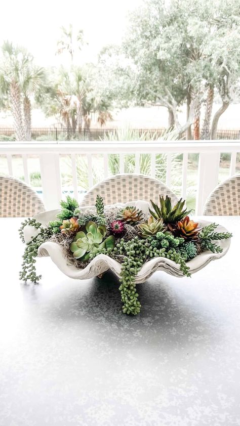 Diy Clam Shell, Large Clam Shell, Shell Centerpieces, Coastal Oak, Succulent Centerpiece, Diy Floral Decor, Coral Decor, Coastal Room, Succulent Centerpieces