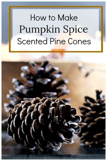 Scented Pine Cones, Homemade Potpourri, Diy Cinnamon, Scented Pinecones, Pinecone Crafts Christmas, Potpourri Recipes, Diy Scent, Pine Cone Art, Pine Cone Decorations