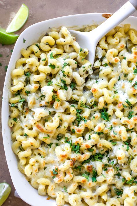 Fresh Green Chile Recipes, Roasted Chile Recipes, Green Chili Pasta, Hatch Chili Recipes Vegetarian, Hatch Green Chili Recipes, Roasted Green Chili Recipes, Hatch Mac And Cheese, Creamy Green Chili Mac And Cheese, Green Chili Mac And Cheese