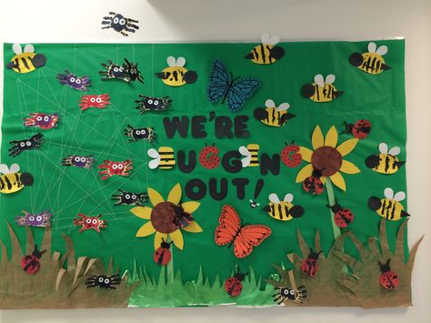 Bugs Door Decorations Classroom, Insects Bulletin Board Preschool, Bug Bulletin Board Ideas Preschool, Bug Door Decorations Classroom, Bugs Bulletin Board Ideas, Classroom Bug Theme, Insects Bulletin Board Ideas, Insect Bulletin Board Ideas Preschool, Bug Theme Preschool Classroom Decor