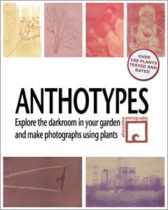 Anthotypes – step by step instructions to making a print using plants « Anthotypes « Formulas And How-To « AlternativePhotography.com Photography Art Book, Alternative Photography, Natural Magic, Experimental Photography, Photo Processing, Garden Photography, Paper Book, Jean Baptiste, Dark Room