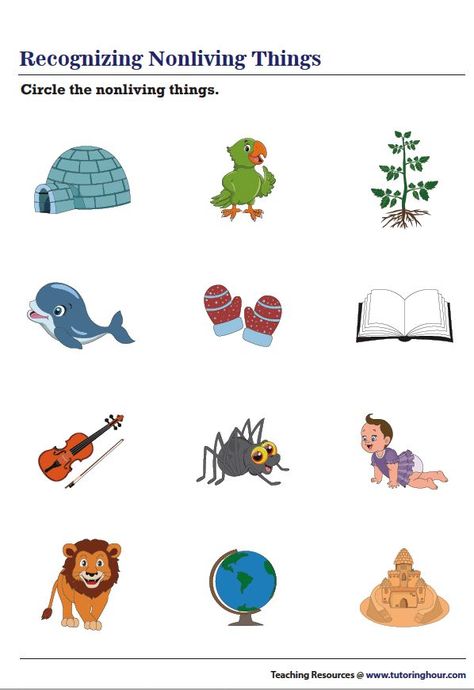 Circling Nonliving Things Living Things Worksheet Kindergarten, Living Non Living Worksheet, Non Living Things, Living And Nonliving Things, Alphabet Letters To Print, Iphone Wallpaper Pinterest, Nursery Worksheets, Living And Nonliving, Money Math