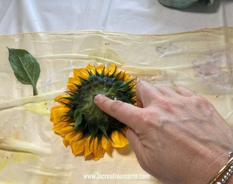 Flowers For Eco Printing, Ecoprint Tutorial, Eco Printing Fabric, Eco Printing Tutorial, Nature Printing, Water Tutorial, Eco Dyeing Fabric, Textile Art Techniques, Eco Flowers