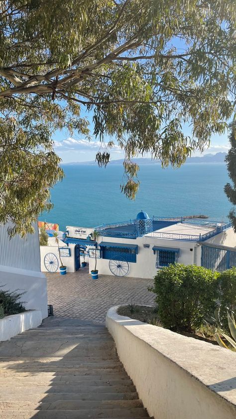 Hammamet Tunisia, Doors Blue, Mediterranean Aesthetic, Sidi Bou Said, African Architecture, Blue Doors, Dome Structure, Outdoor Exploration, Mediterranean Architecture