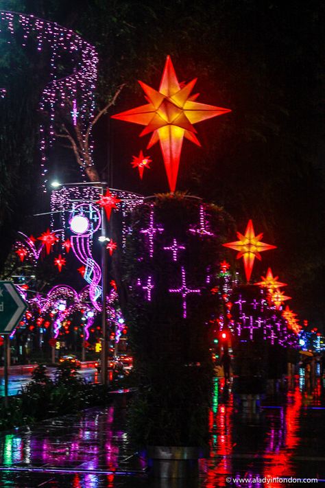 Christmas lights on Orchard Road in Singapore are great. This guide to Christmas in Singapore will show you Christmas in Singapore on Orchards Road, Singapore Christmas decoration highlights, Singapore Christmas lights, and a Christmas tree in Singapore. #singapore #christmas Singapore Christmas, Geseënde Kersfees, Christmas In The City, Up Theme, Holiday Photography, Mele Kalikimaka, Travel Asia, December 2024, Christmas Dinner