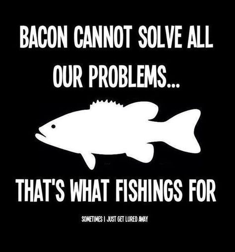 Funny Hunting And Fishing Pictures And Memes http://bink-spoons.myshopify.com Funny Fishing Memes, Fishing Pole Storage, Fishing Jokes, Hunting Stuff, Funny Hunting, Fishing Store, Hunting Humor, Hunting And Fishing, Fishing Signs