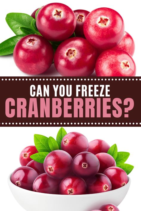 Can you freeze cranberries? You sure can! Here's how to properly store, freeze, and thaw your cranberries so you can enjoy them for up to a year. Paleo Veggies, Cranberry Orange Relish, Canned Cranberries, Cranberry Jelly, Cranberry Bliss Bars, Canned Cranberry Sauce, Leftover Cranberry Sauce, Cranberry Relish, Cranberry Sauce Recipe