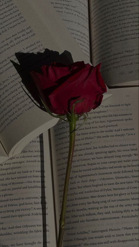 A rose on top of open books Book And Rose Aesthetic, Rose Day Instagram Story, Aesthetic Rose Pic, Valentines Day Videos Aesthetic, Rose Day Aesthetic, Aesthetic Bg For Instagram Story, Valentine Story Instagram Ideas, Rose Day Snap, Valentines Story Instagram