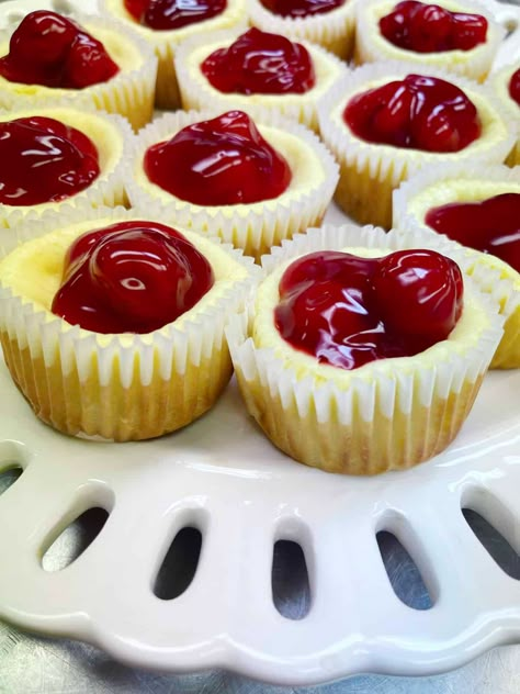 Easy Mini Cheesecakes, Mini Cherry Cheesecakes, Mini Cheesecakes Easy, Vanilla Wafer Crust, Individual Cheesecakes, Vanilla Wafer, Mini Cheesecake Recipes, Chocolate Crust, Easy Cheesecake Recipes