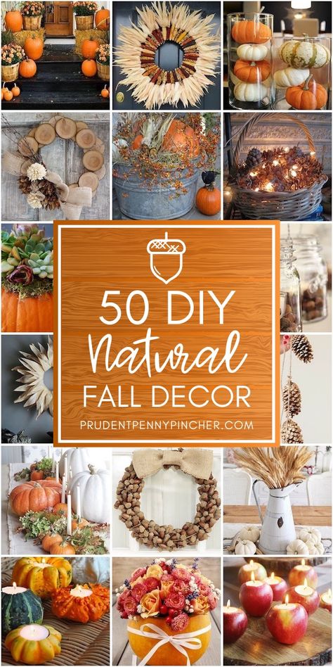 50 DIY Natural Fall Decor Ideas #diy #diyhomedecor #homedecor #fall #falldecor #falldecorations #thanksgiving Globe Balloons, Natural Fall Decor, Outside Fall Decor, Fall Table Centerpieces, Fall Decor Inspiration, Fall Decor Ideas, Fall Thanksgiving Decor, Fall Deco, Fall Decoration