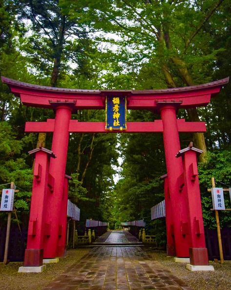 Niigata Prefecture, Yahiko – Yahiko Shrine: Credit: @jp.travelers.pic The post Niigata Prefecture, Yahiko – Yahiko Shrine: Credit: @jp.travelers.pic appeared first on Alo Japan. Niigata Japan, Japanese Shrine, Niigata, Japan Photo, Dream Board, Book Ideas, Photo Photography, Bucket List, Japan