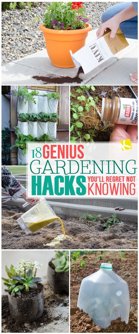 18 Genius Gardening Hacks You’ll Regret Not Knowing Garden Hacks, Gardening Hacks, Organic Vegetable Garden, Healthy Garden, Organic Gardening Tips, Easy Garden, Flowers Garden, Organic Vegetables, Planting Herbs