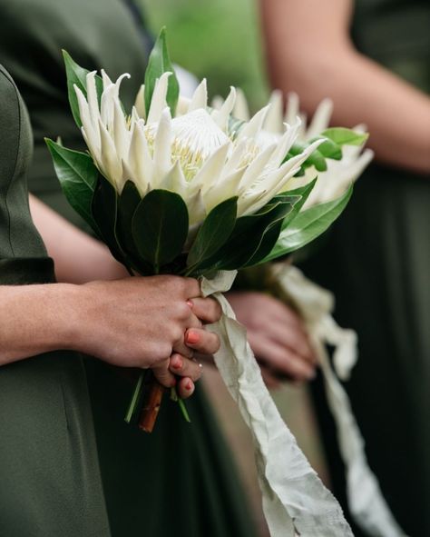 White King Protea Bouquet, White Protea, White Protea Bouquet Wedding, White Protea Bouquet, Protea Bouquet Wedding, Bridesmaids Bouqet, Protea Bouquet, Protea Wedding, King Protea