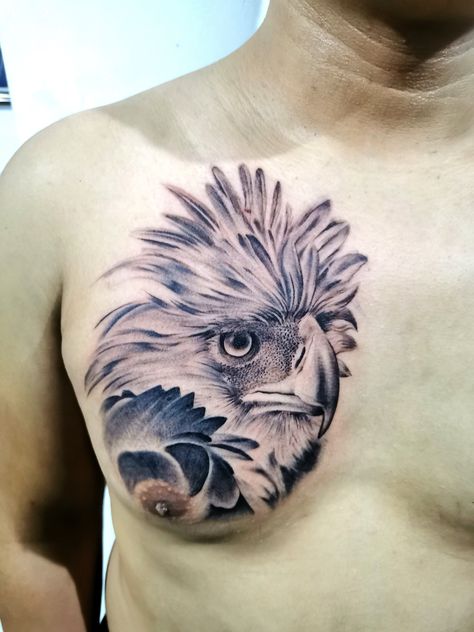 #philippineeagle #philippineeagletattoo #eagle #haribon #monkeyeatingeagle Phillipine Eagle Tattoo Design, Filipino Eagle Tattoo, Eagle Tattoo Design Chest, Philippine Eagle Tattoo Design, Philippine Eagle Tattoo, Drawing Eagle, Eagle Tattoo Design, Eagle Chest Tattoo, Tattoo Eagle