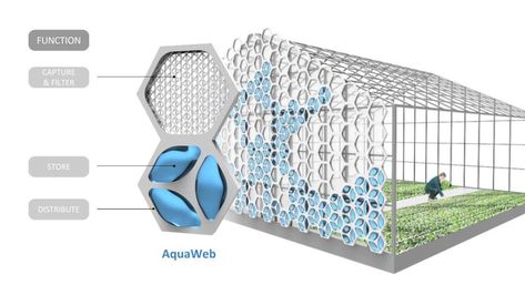 Water Collecting System, Rain Collecting System, Water Capture System, Nature Inspired Architecture, Water Collection System, Water From Air, Water Harvesting, Rainwater Harvesting System, Water Generator