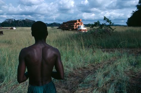 The transport of jungle wood in the forestry region of Mandji, Gabon, Bruno Barbey. – @atlproxy on Tumblr Bruno Barbey, Documentary Photography, Human Silhouette, On Tumblr, Buddha Statue, Documentaries, Batman, Statue, Tumblr