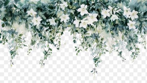 Hanging Flowers Illustration, Transparent Flowers Png, White Flower Png, Png Nature, Aesthetic Pngs, Border Transparent, Png Border, Flower Png Images, Image Overlay