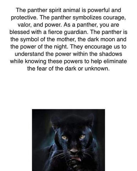 Black Panther Symbolism, Panther Aesthetic, Jaguar Meaning, Panther Spiritual Meaning, Panther Meaning, Black Panther Spirit Animal Meaning, Black Panther Spiritual Meaning, Panther Symbolism, Spirit Animal Meaning