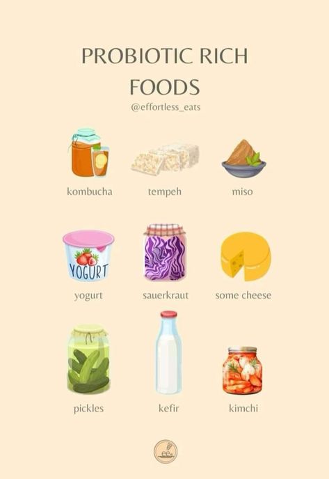 Eating For Gut Health, Best Probiotic Foods, Prebiotic Foods, Gut Health Diet, دورة شهرية, Gut Health Recipes, Healthy Hormones, Best Probiotic, Collagen Benefits