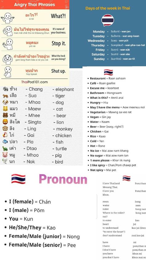 have fun 😁 Thai Language Learning, Thai Phrases, Learn Thai Language, Handwriting Examples, Thai Words, Learn Thai, Thai Language, What The Heck, Stop It