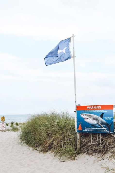 Cape Cod Wallpaper, Shark Collage, Mashpee Cape Cod, Nauset Beach, Cape Cod Beach House, Shark Sign, Cape Cod Photography, Milkyway Galaxy, Collage Project