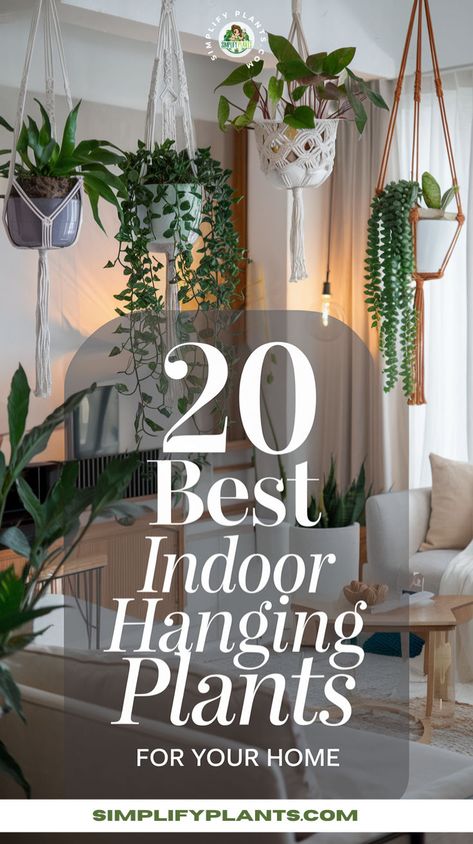 "Discover the 20 Best Indoor Hanging Plants for Your Home with our essential Basic Care Guide! Perfect for indoor gardening enthusiasts and plant lovers, these stunning houseplants will elevate your indoor decor and bring lush greenery into your space. Explore hanging planters that add a unique touch to your home while learning valuable plant care tips and a simple plant care routine!" Hanging Succulents Indoor, Succulents Wall Decor, Trailing Succulents, Succulents Wall, Succulent Hanging Planter, Best Indoor Hanging Plants, Succulents Care, Indoor Hanging Plants, Plant Accessories