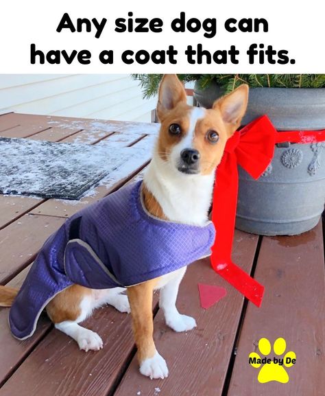 Getting the perfect coat for your dog Simple Dog Coat Pattern, Dog Drying Coat Pattern, Quilted Dog Coat, Diy Dog Coat From Sweatshirt, Dachshund Coat, Small Dog Coats, Fit Dogs, Dog Clothes Coats & Jackets, Perfect Coat