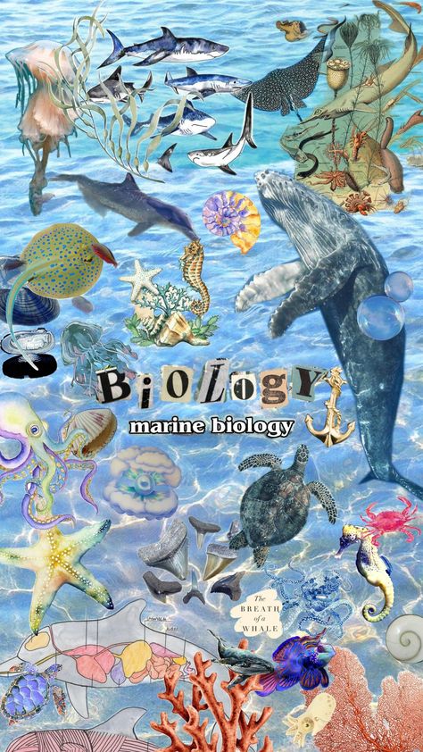 #marinebiology #marinelife #biologystudent Marine Biology Background, Marine Biologist Wallpaper, Biologist Wallpaper, Biology Aesthetic Cover, Biology Wallpaper, Biology Art, Marine Biologist, Oceanography, Future Jobs