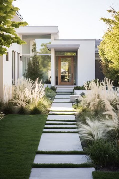 Creek Ideas, Modern Front Yard Landscaping Ideas, Tall Ornamental Grasses, Modern Front Yard Landscaping, Modern Front Yard, Driveway Landscaping, Backyard Plants, Front Yard Design, Farmhouse Landscaping