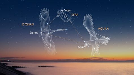 Altair Star, Summer Triangle, Planetary Nebula, Star Clusters, Vision Quest, Star Formation, Star Cluster, Star Constellations, Dark Sky