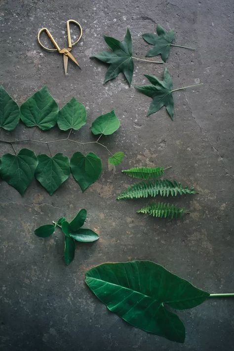 How To Preserve Leaves, Leaf Art Diy, Pressed Flowers Diy, Framed Leaves, Framed Plants, Pressed Flower Crafts, Leaf Crafts, Real Leaves, Plant Decor Indoor