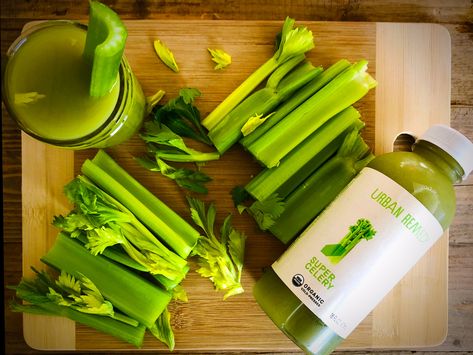 The Benefits of Celery Juice for Pre-Surgery Nourishment Benefits Of Celery Juice, Benefits Of Celery, Celery Juice Benefits, Preparing For Surgery, Smoothie Shop, Acid Base Balance, Acid Base, Celery Juice, Surgery Recovery