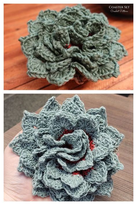 Succulent Plant Pot Coaster Set Crochet Patterns Turtle Coaster, Detailed Crochet, Crochet Succulent, Crochet Coasters Free Pattern, Crochet Flowers Easy, Crochet Coaster Pattern, Crocheted Flowers, Crochet Plant, Crochet Leaves